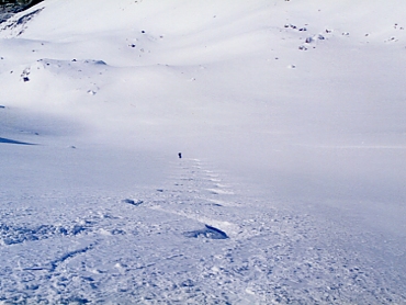 �w���X�L�[