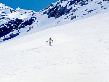 �w���X�L�[