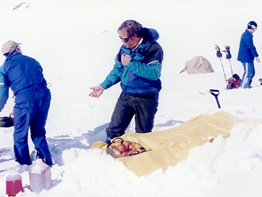 �w���X�L�[