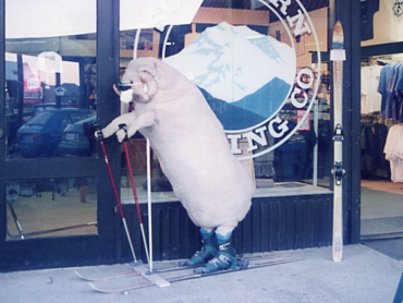 �}�E���g�n�b�g