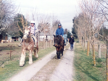 �z�[�X���C�f�B���O