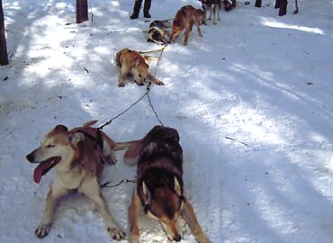 �A���X�J���n�X�L�[