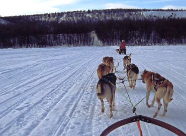 �A���X�J���n�X�L�[