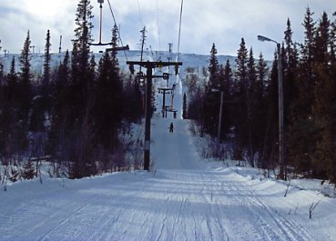 �C�G���o�[��