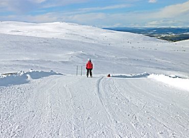 �h�D���h���b�g