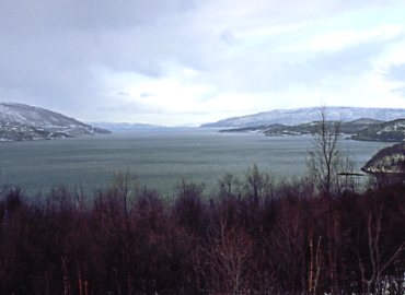 �m���E�F�[�@�t�B�����h