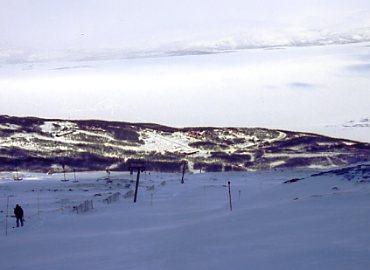 �r�����N���[�f��