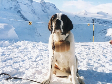 �Z���g�o�[�i�[�h