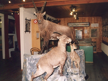 �c�F���}�b�g