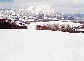 �X�L�[�ʐ^�F���X�c