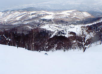 �X�L�[�ʐ^�F�e�C�l�n�C�����h�̖k��