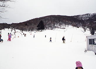 �X�L�[�ʐ^�F�ԏ�