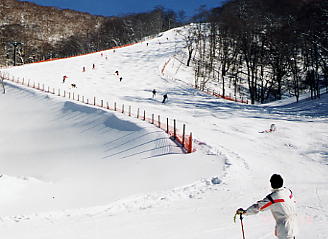 �X�L�[�ʐ^�F�������