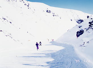 �X�L�[�ʐ^�F���Â̐U�q��