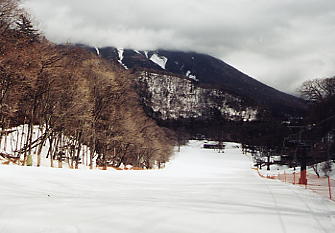 �X�L�[�ʐ^�F�����Ҋ����l