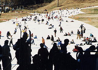 �X�L�[�ʐ^�F�c��