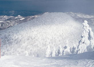 �X�L�[�ʐ^�F���b�c