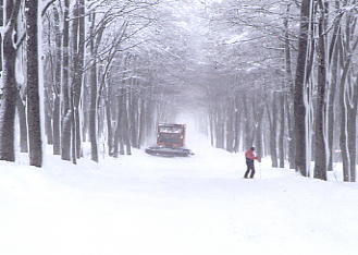 �X�L�[�ʐ^�F��؎R�X�J�C���C��