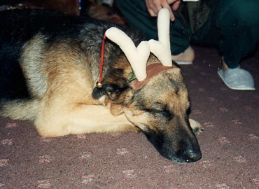 �g�i�J�C��