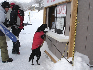 ���t�g���𔃂���