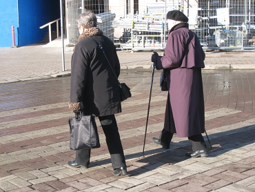 �w���V���L