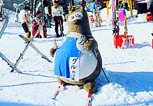 �ؓ����̃O��