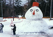 �ڂ�����