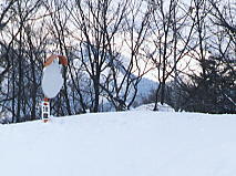 ���ӂ��Ă�