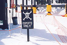 �������Ă�����