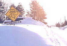 ���X�����܂�