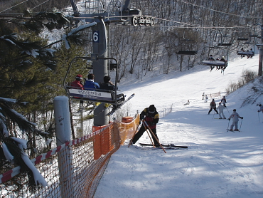 ��Ȃ����t�g