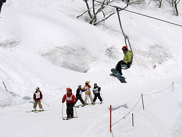 ��Ȃ����t�g