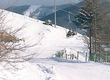 ��Ȃ����t�g