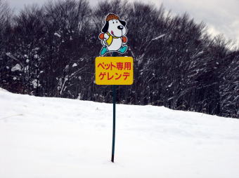 �c��΃A�b�X��