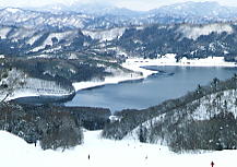 �����ł���