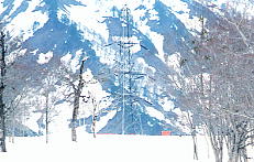 �S���Ɍ�������