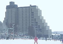 �z�e���̂��߂̃X�L�[�ꂾ