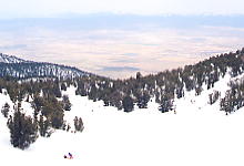 �������您