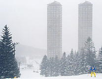 �ڂŌ���ƁA�����ƈٗl��