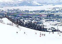 �y�����A����