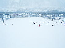 �V���������Ȃ���