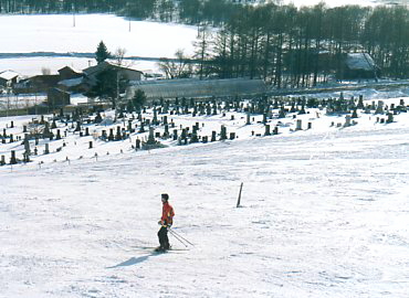 ����Ŋ���