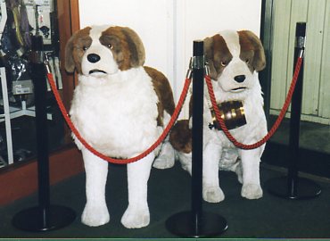 �Z���g�o�[�i�[�h