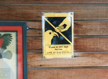 �G�T����