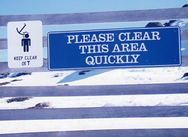 �ǂ��Ȃ���