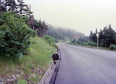 �x�m�R�@���]��