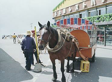 �x�m�R�@���]��