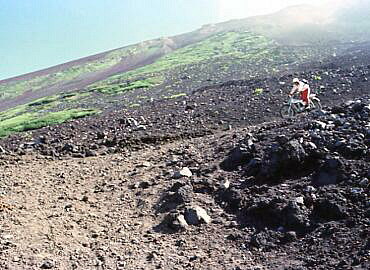 �x�m�R�@���]��