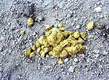 �x�m�R�@���]��