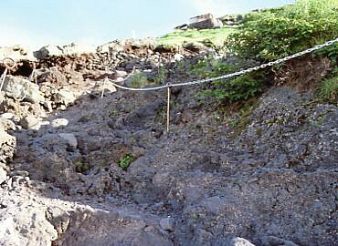 �x�m�R�@���]��